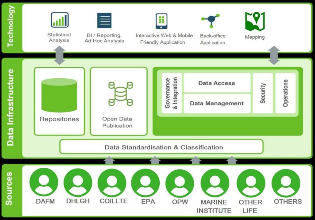 IDP structure IDP Structure Infographic