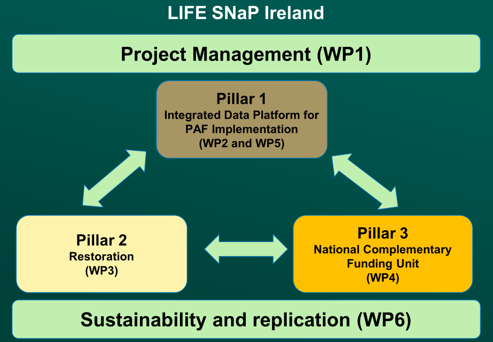 Pillar structure LIFE SNaP Ireland Pillar Structure